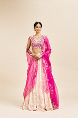 Anjala Lehenga Set with Dupatta - Magenta