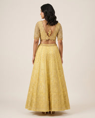 Kamala Lehenga Set without Dupatta- Yellow RTS