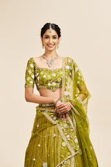 Viha Lehenga Set with Dupatta - Green RTS