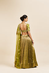 Viha Lehenga Set with Dupatta - Green RTS