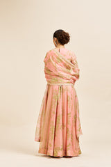 Sadhna Dress with Dupatta_ Peach RTS