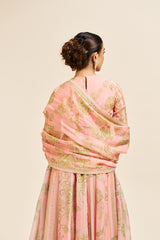 Sadhna Dress with Dupatta_ Peach RTS