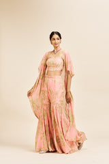 Nithi sharara set_ peach