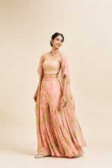 Nithi sharara set_ peach