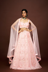 Neely lehenga set with dupatta - Peach RTS
