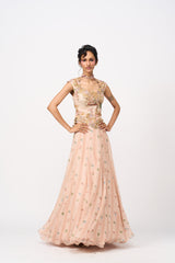 Arushi Lehenga Set -Peach
