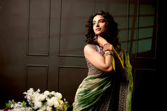 Vasanta Embroidery Saree and Blouse Set