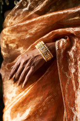 Ishara Printed Tissue Saree- Orange