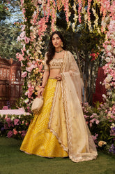 Yellow chikankari lehenga with raw silk embroidered blouse and dupatta