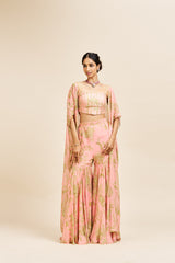 Nithi sharara set_ peach