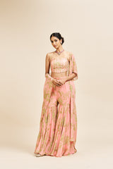 Nithi sharara set_ peach