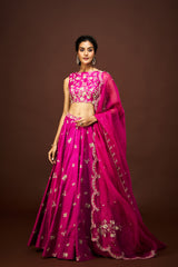 Tisha lehenga set with dupatta - Magentha