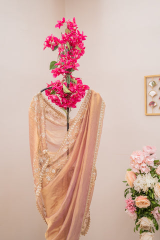 Karnika Embodied Saree