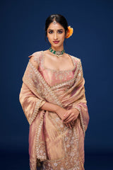 Karnika Tissue Embroidery Saree and Blouse Set