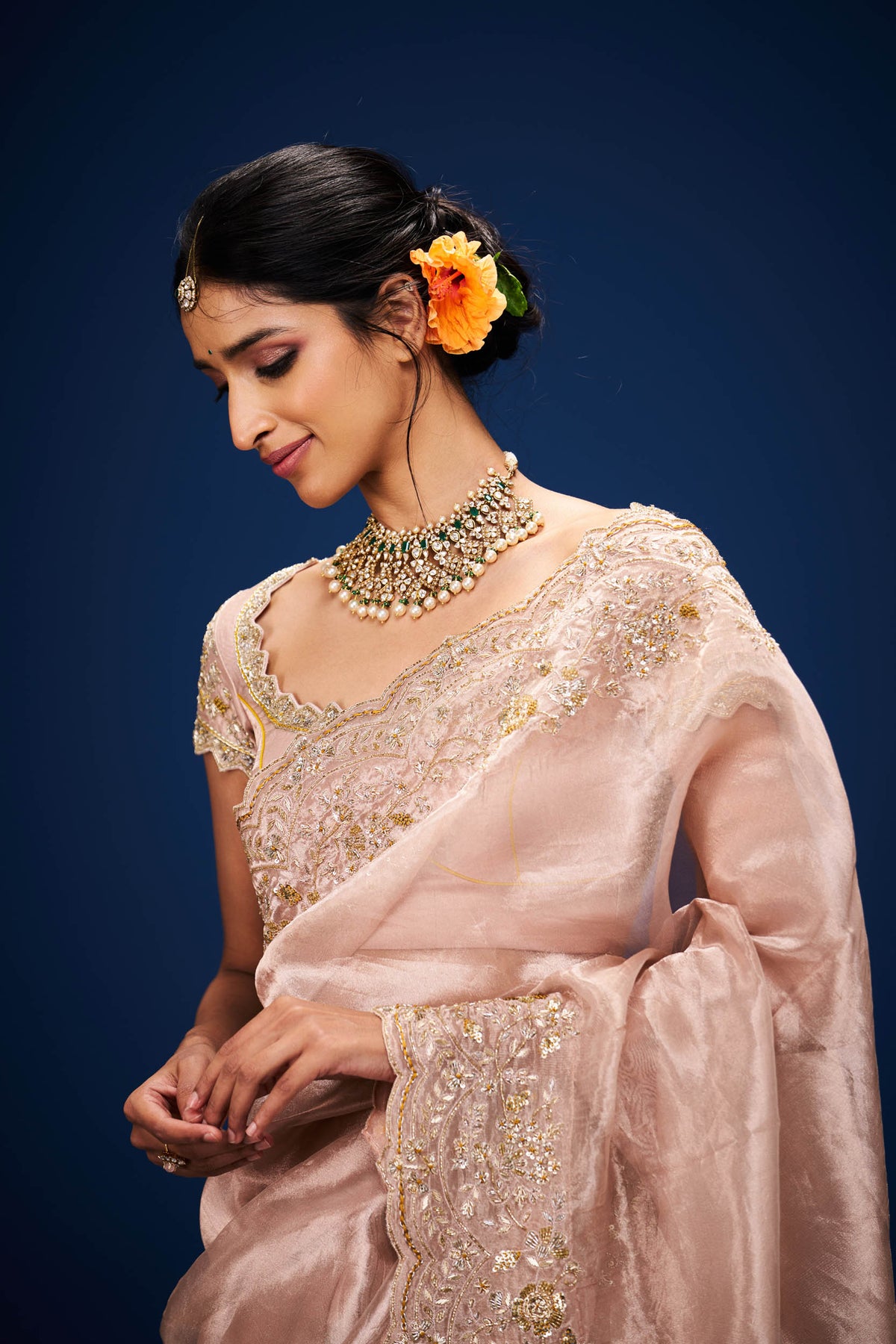 Aloka Tissue Embroidery Saree and Blouse Set