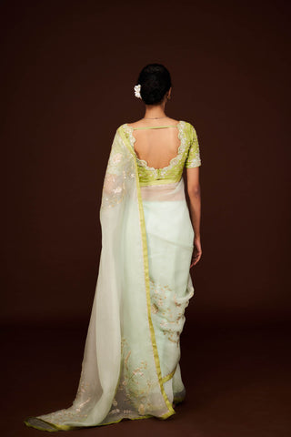 Nilaa Organza Only Saree