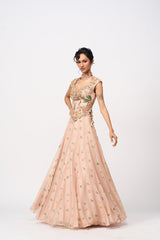 Arushi Lehenga Set -Peach