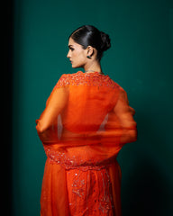 Niri Lehanga set with Dupatta -
persimmon Orange