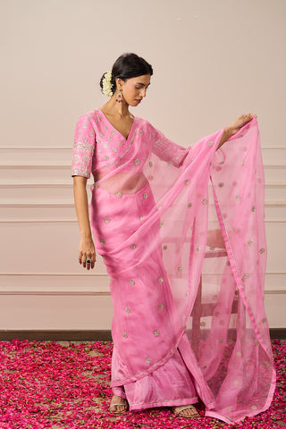 LAKSHMI SAREE WITH EMBROIDERED BLOUSE