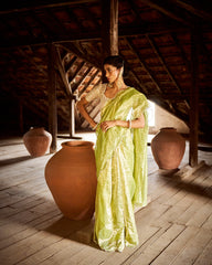 Ishara printed tissue saree- apple green