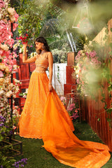 TANGERINE ORANGE EMBROIDERED Chikankari Lehenga