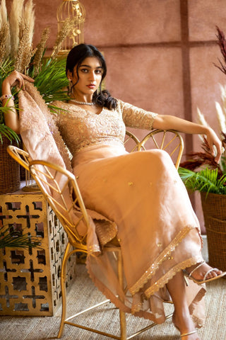 NUDE ORGANZA SAREE WITH EMBROIDERED BLOUSE