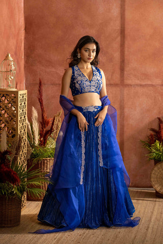 Ink blue pleated lehenga with raw silk embroidered blouse paired with an organza cape