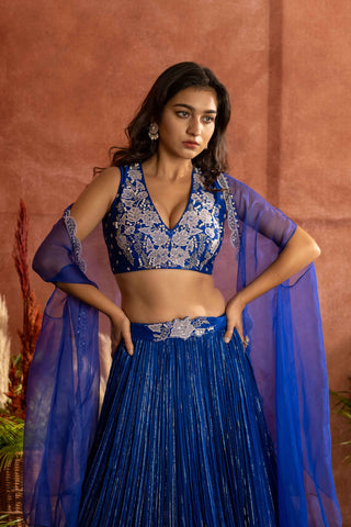 Ink blue pleated lehenga with raw silk embroidered blouse paired with an organza cape