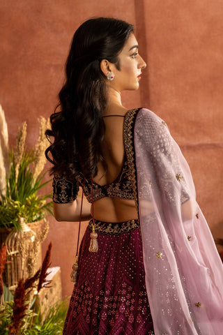 Wine chikankari lehenga with velvet embroidered blouse paired with an organza dupatta