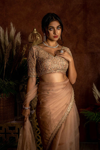 NUDE ORGANZA SAREE WITH EMBROIDERED BLOUSE