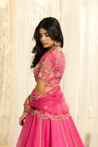 Satyabhama Lehenga Set - Hot Pink