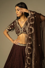 Nyra Lehenga set Peacan brown