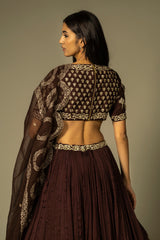 Nyra Lehenga set Peacan brown