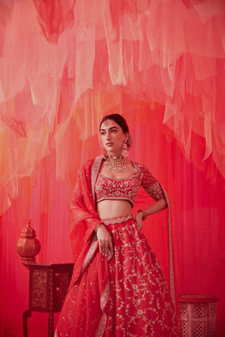 Red Raw silk Embroidered lehenga with embroidered blouse paired with an organza dupatta
