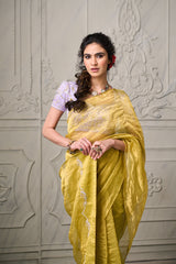 Aashvi Tissue Saree - Apple Green