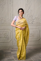 Aashvi Tissue Saree - Apple Green